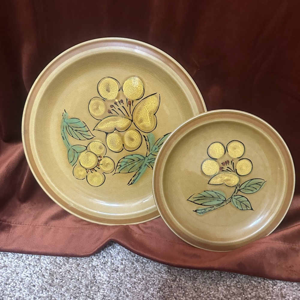 JCPenny Flora Vintage Stoneware Dinner and Dessert Plate Set of 12